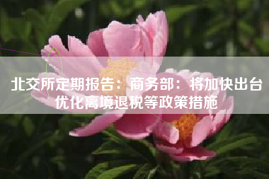 北交所定期报告：商务部：将加快出台优化离境退税等政策措施