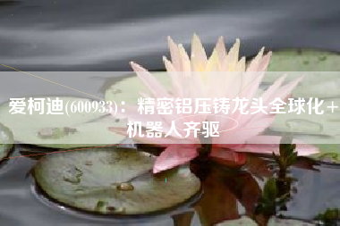 爱柯迪(600933)：精密铝压铸龙头全球化+机器人齐驱