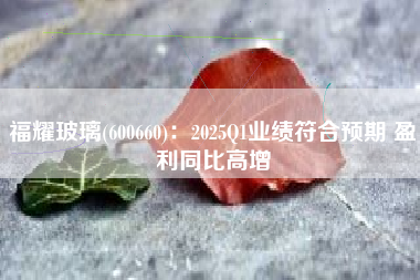 福耀玻璃(600660)：2025Q1业绩符合预期 盈利同比高增