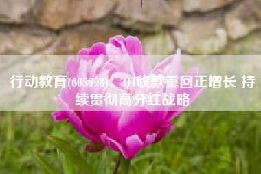 行动教育(605098)：Q4收款重回正增长 持续贯彻高分红战略