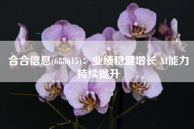 合合信息(688615)：业绩稳健增长 AI能力持续提升