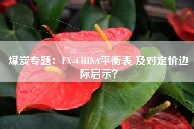煤炭专题：EX-CHINA平衡表 及对定价边际启示？