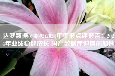达梦数据(688692)2024年年报点评报告：2024年业绩稳健增长 国产数据库迎信创加速