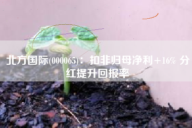 北方国际(000065)：扣非归母净利+16% 分红提升回报率