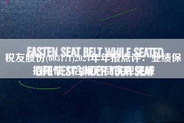 税友股份(603171)2024年年报点评：业绩保持韧性 AI合规产品实现突破