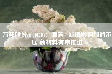 方邦股份(688020)：铜箔+减值影响利润承压 新材料有序推进