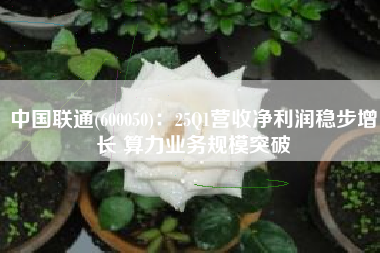 中国联通(600050)：25Q1营收净利润稳步增长 算力业务规模突破