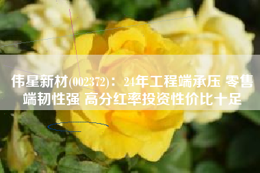 伟星新材(002372)：24年工程端承压 零售端韧性强 高分红率投资性价比十足