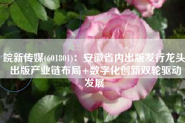 皖新传媒(601801)：安徽省内出版发行龙头 出版产业链布局+数字化创新双轮驱动发展