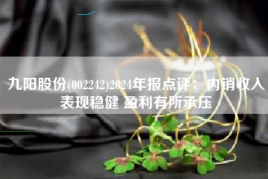 九阳股份(002242)2024年报点评：内销收入表现稳健 盈利有所承压