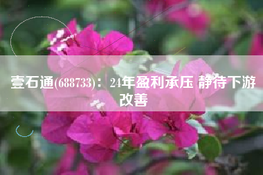壹石通(688733)：24年盈利承压 静待下游改善