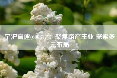 宁沪高速(600377)：聚焦路产主业 探索多元布局