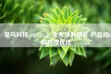 皇马科技(603181)：全年净利增长 产品结构持续优化