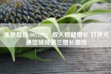 兆驰股份(002429)：收入稳健增长 打造光通信领域第三增长曲线