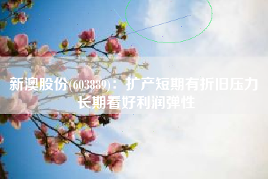 新澳股份(603889)：扩产短期有折旧压力 长期看好利润弹性