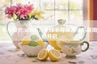 韦尔股份(603501)：全球半导体龙头的新周期开启