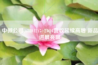 中微公司(688012)：24Q4营收延续高增 新品进展亮眼