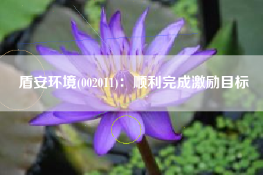 盾安环境(002011)：顺利完成激励目标
