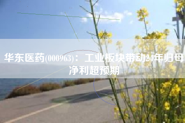 华东医药(000963)：工业板块带动24年归母净利超预期