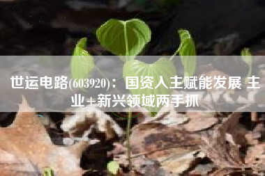 世运电路(603920)：国资入主赋能发展 主业+新兴领域两手抓