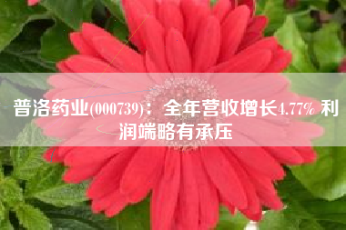 普洛药业(000739)：全年营收增长4.77% 利润端略有承压