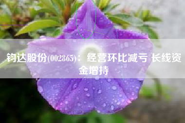 钧达股份(002865)：经营环比减亏 长线资金增持