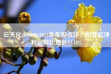 云天化(600096)2024年年报点评：扣非后净利润同比增长15.12%