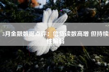 3月金融数据点评：信贷读数高增 但持续性偏弱