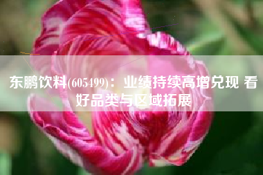 东鹏饮料(605499)：业绩持续高增兑现 看好品类与区域拓展