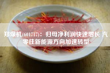 郑煤机(601717)：归母净利润快速增长 汽零往新能源方向加速转型