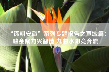 “深耕安徽”系列专题报告之宣城篇：融金聚力兴智造 九曲水阳竞奔流