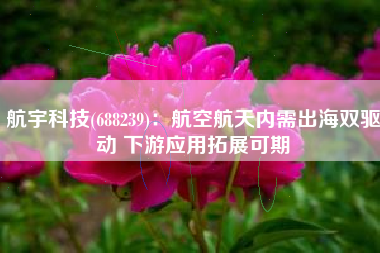 航宇科技(688239)：航空航天内需出海双驱动 下游应用拓展可期