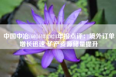 中国中冶(601618)2024年报点评：境外订单增长迅速 矿产资源储量提升