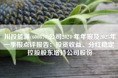 川投能源(600674)公司2024 年年报及2025年一季报点评报告：投资收益、分红稳定 控股股东增持公司股份
