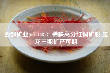 西部矿业(601168)：稀缺高分红铜矿股 玉龙三期扩产可期