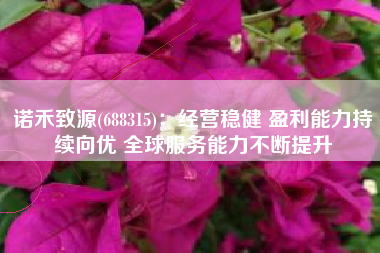 诺禾致源(688315)：经营稳健 盈利能力持续向优 全球服务能力不断提升