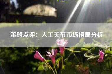 策略点评：人工关节市场格局分析
