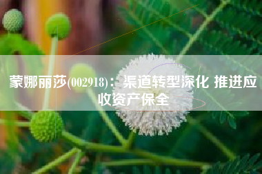 蒙娜丽莎(002918)：渠道转型深化 推进应收资产保全