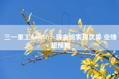 三一重工(600031)：现金流表现优异 业绩超预期