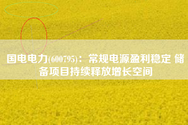 国电电力(600795)：常规电源盈利稳定 储备项目持续释放增长空间