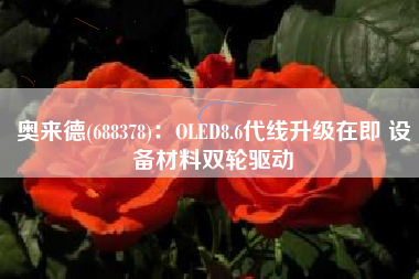 奥来德(688378)：OLED8.6代线升级在即 设备材料双轮驱动