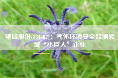 驰诚股份(834407)：气体环境安全监测领域“小巨人”企业