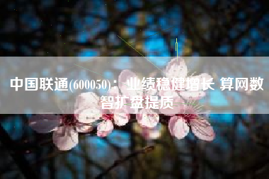 中国联通(600050)：业绩稳健增长 算网数智扩盘提质