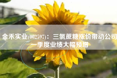 金禾实业(002597)：三氯蔗糖涨价带动公司一季度业绩大幅预增