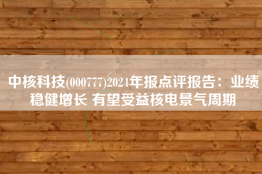 中核科技(000777)2024年报点评报告：业绩稳健增长 有望受益核电景气周期
