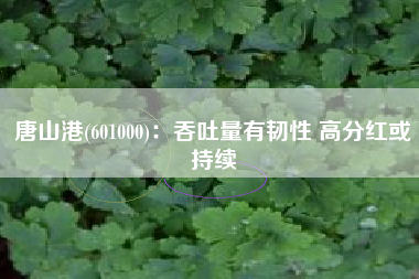 唐山港(601000)：吞吐量有韧性 高分红或持续