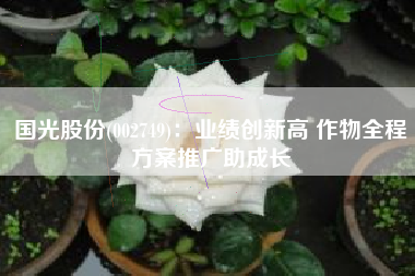 国光股份(002749)：业绩创新高 作物全程方案推广助成长