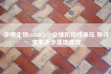 华熙生物(688363)：业绩阶段性承压 期待变革逐步落地显效