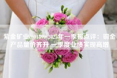 紫金矿业(601899)2025年一季报点评：铜金产品量价齐升 一季度业绩实现高增