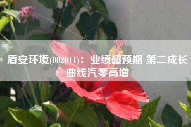 盾安环境(002011)：业绩超预期 第二成长曲线汽零高增